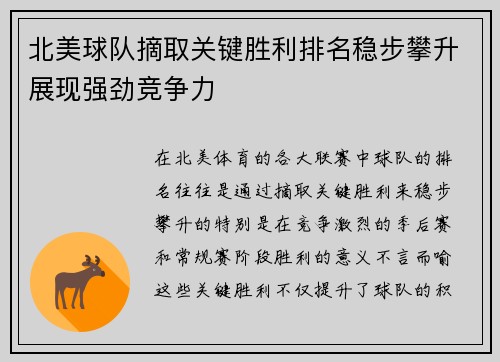 北美球队摘取关键胜利排名稳步攀升展现强劲竞争力