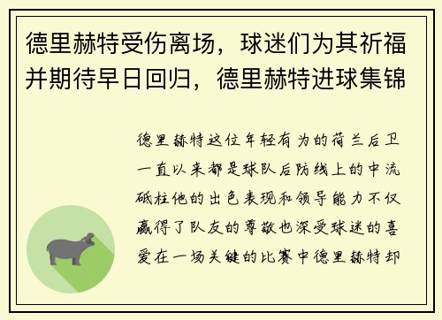 德里赫特受伤离场，球迷们为其祈福并期待早日回归，德里赫特进球集锦